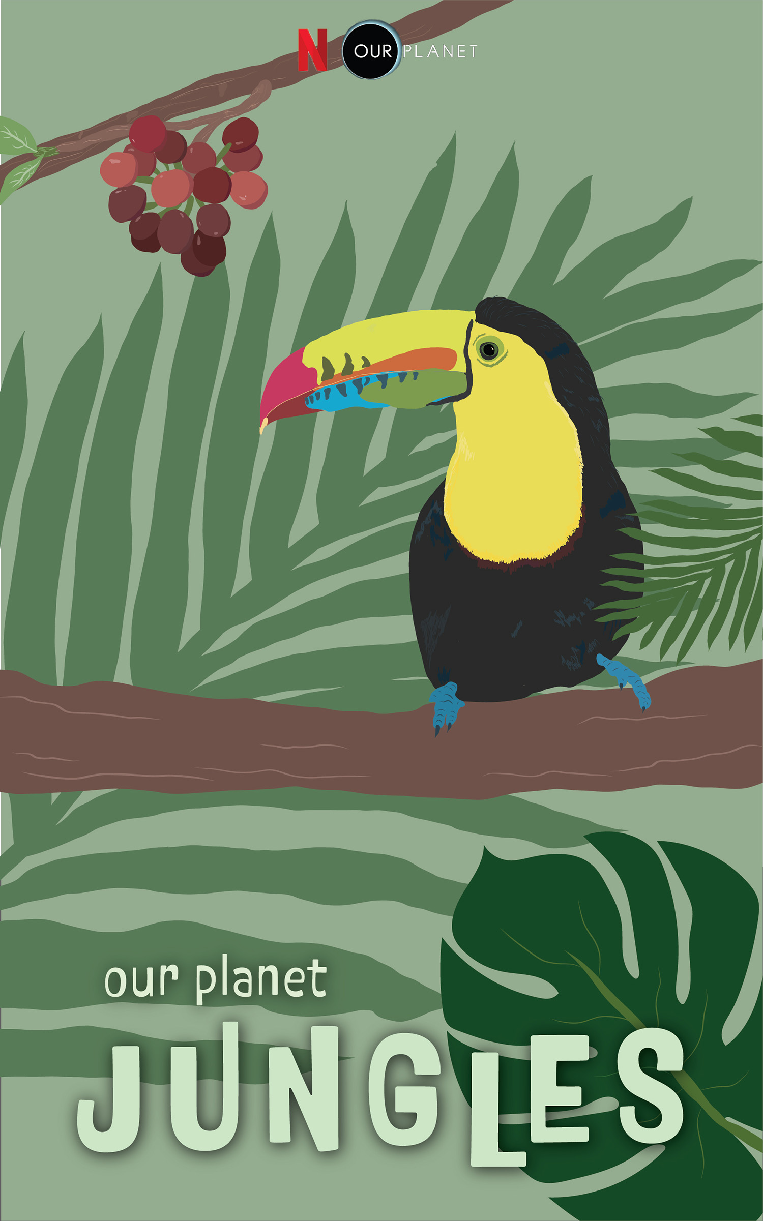 toucan